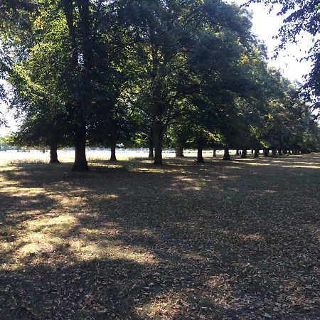 Old Station Gardens, Sw London Teddington Exterior foto