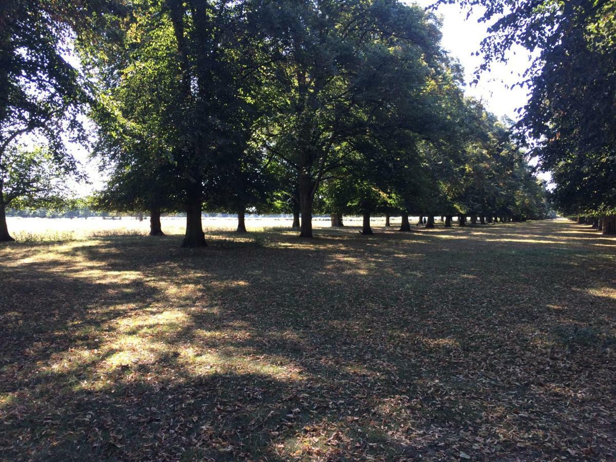 Old Station Gardens, Sw London Teddington Exterior foto
